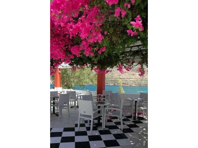 Крит из Перми! в городе Пермь, фото 2, Пермский край