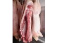 Охлажденное (парное) мясо свинины в городе Нижний Новгород, фото 1, Нижегородская область