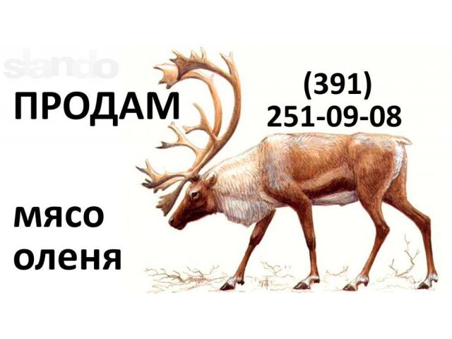 мясо оленя в Красноярске в городе Красноярск, фото 1, стоимость: 0 руб.