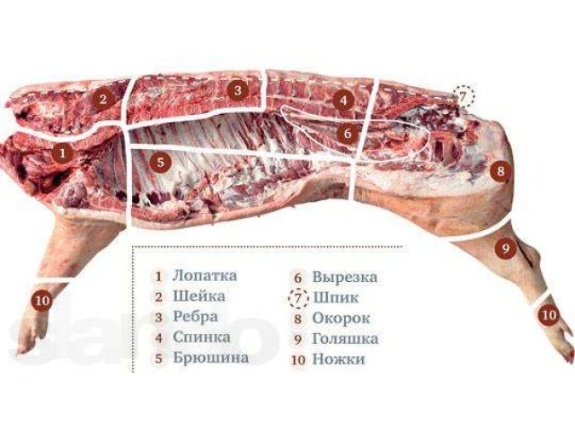 Замороженные говядина, свинина, баранина, субпродукты, птица, оптом. в городе Вельск, фото 1, Мясо и рыба
