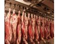 Продам свежее мясо телятины в городе Красноярск, фото 1, Красноярский край