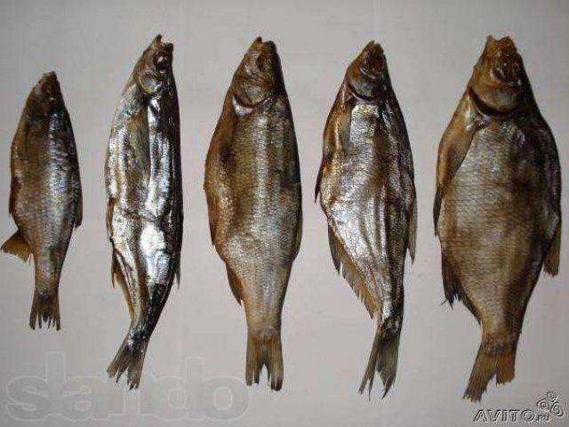 Продам речную рыбу в городе Ижевск, фото 1, стоимость: 0 руб.