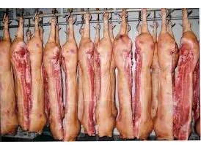 Мясо свинины оптом в городе Иркутск, фото 1, стоимость: 0 руб.