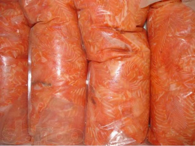 Купить Форель Оптом Цена