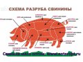 Оптом мясо свинина с Алтая! Доставка Владивосток! в городе Владивосток, фото 1, Приморский край