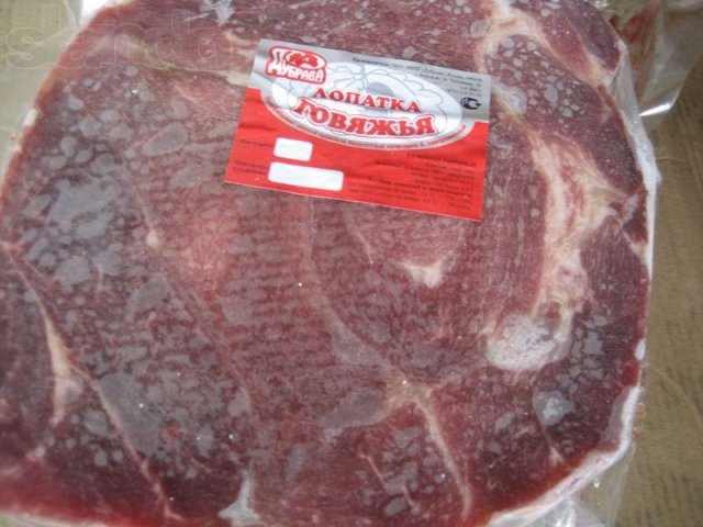 Оптовая продажа замороженного мяса и субпродуктов свиных, говяжьих. в городе Орёл, фото 1, Мясо и рыба