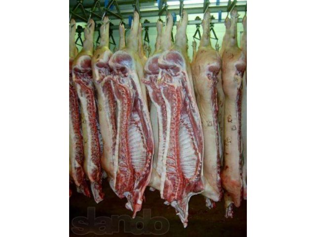 Мясо живой вес цена. Баранина полутуши заморозка деревня. Подсобное хозяйство в Вахмистрово мясо охлажденное мясо. Как продавать мясо в тушах и полутушах.