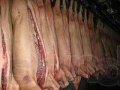Продам домашнюю свинину в городе Екатеринбург, фото 1, Свердловская область