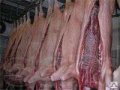 Мясо свинина полутуши в городе Венев, фото 1, Тульская область