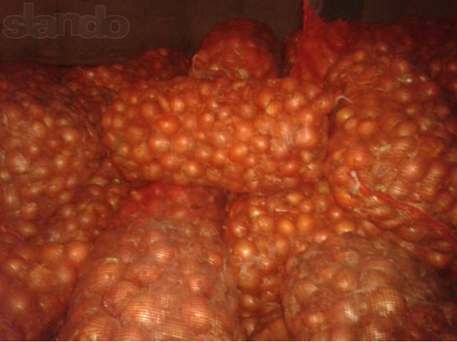 Лук репчатый калибра 4-7. Оптом в городе Волгоград, фото 1, Волгоградская область