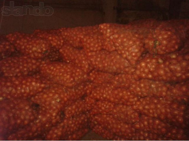 Лук репчатый калибра 4-7. Оптом в городе Волгоград, фото 2, стоимость: 0 руб.