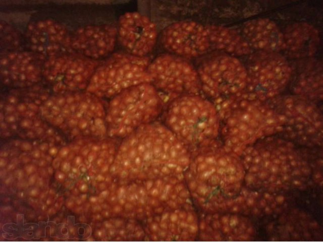 Лук репчатый калибра 4-7. Оптом в городе Волгоград, фото 6, Овощи и фрукты