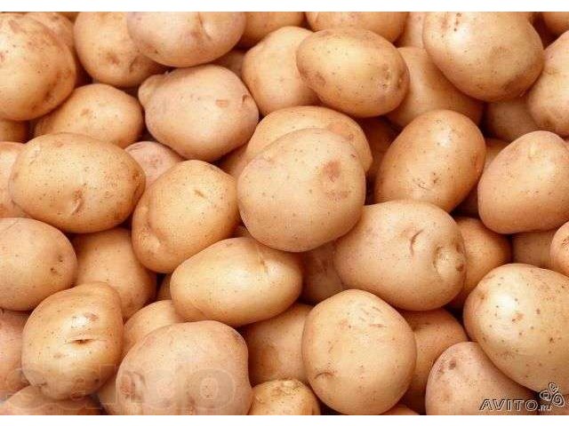 Хороший картофель! в городе Чебоксары, фото 1, стоимость: 0 руб.