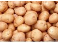 Хороший картофель! в городе Чебоксары, фото 1, Чувашия