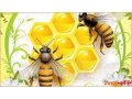 Лечебный мед в городе Ульяновск, фото 1, Ульяновская область