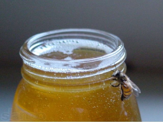 Настоящий мед в городе Новомосковск, фото 1, Бакалея