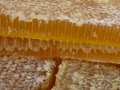 Настоящий мед в городе Новомосковск, фото 2, стоимость: 0 руб.