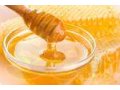 СРОЧНО продам мёд алтайский в городе Новокузнецк, фото 1, Кемеровская область