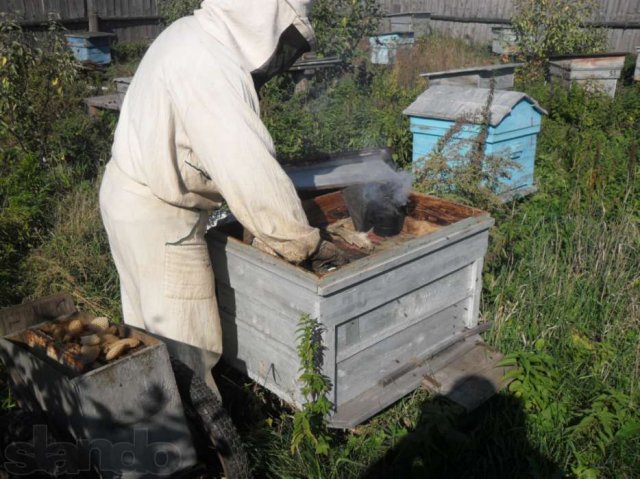 Натуральный мед в Екатеринбурге в городе Екатеринбург, фото 2, Свердловская область