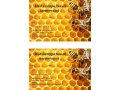 Натуральный мед оптом и в розницу в городе Краснодар, фото 1, Краснодарский край