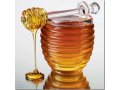 Продам мед в городе Воронеж, фото 1, Воронежская область