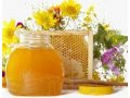 Продаю мед в городе Краснодар, фото 1, Краснодарский край
