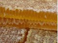 Мед натуральный, прополис, воск, забрус, перга в городе Первоуральск, фото 1, Свердловская область