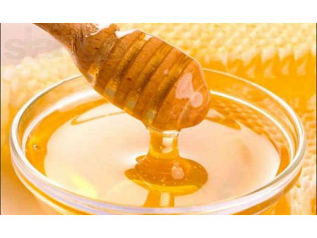 Натуральный алтайский мед от производителя в городе Новосибирск, фото 1, стоимость: 0 руб.