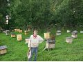 Вкуснейший мёд. в городе Новокузнецк, фото 1, Кемеровская область