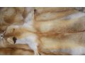 Продам мех рыжей лисы 1500руб в городе Новосибирск, фото 2, стоимость: 0 руб.