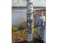 Продам мужской костюм. в городе Киров, фото 1, Кировская область