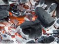 Березовый уголь от производителя в Ярославле в городе Ярославль, фото 1, Ярославская область
