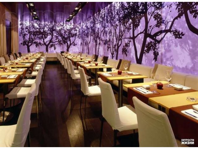 Роспись стен,стекол,мебели,обоев. в городе Петрозаводск, фото 1, Мебель