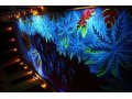 Флуоресцентная краска, краска светящаяся в ультрафиолете, неоновая. в городе Иркутск, фото 1, Иркутская область