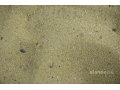 Песок карьерный, намывной с доставкой. Дешево. в городе Санкт-Петербург, фото 1, Ленинградская область