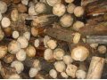 Дрова твердых и мягко лиственных пород. в городе Калининград, фото 1, Калининградская область