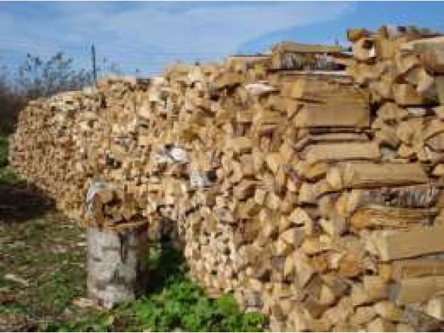 Березовые дрова 1000 в городе Красноярск, фото 1, стоимость: 0 руб.