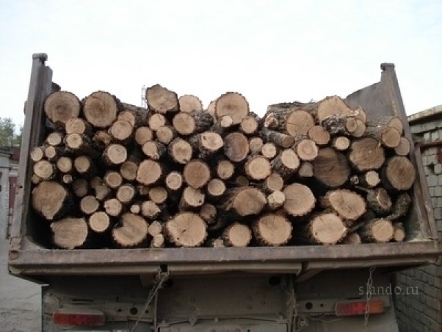 Дрова береза, дуб, ольха. в городе Саратов, фото 1, стоимость: 0 руб.