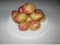 Семенной картофель в городе Задонск, фото 1, Липецкая область