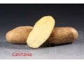 Семенной картофель голландско-немецкой селекции в городе Саратов, фото 1, Саратовская область