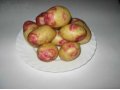 Продаем ВЫСОКОКАЧЕСТВЕННЫЙ семенной картофель в городе Липецк, фото 1, Липецкая область