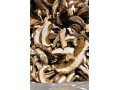 Сушеный белый гриб от 700 руб. продаю в городе Барнаул, фото 1, Алтайский край