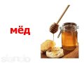 Продаю Амурский мед в городе Краснодар, фото 1, Краснодарский край