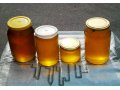 мёд оптом и в розницу! в городе Ульяновск, фото 1, Ульяновская область