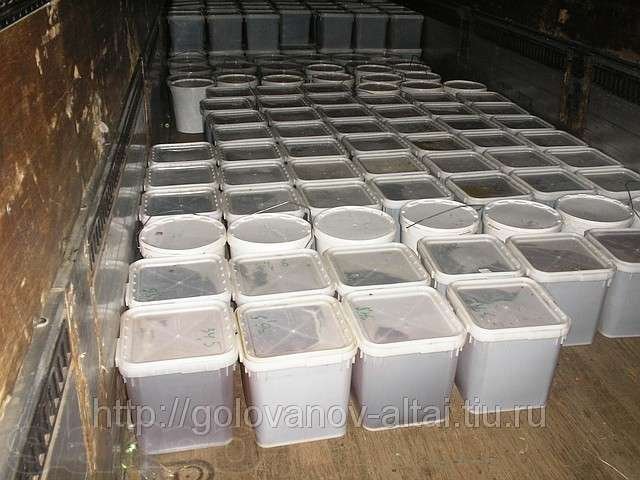 Продам мёд в городе Тюмень, фото 1, стоимость: 0 руб.