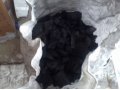 Уголь берёзовый оптом в городе Воронеж, фото 1, Воронежская область