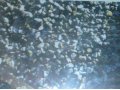 Коксовый орешек в городе Самара, фото 1, Самарская область