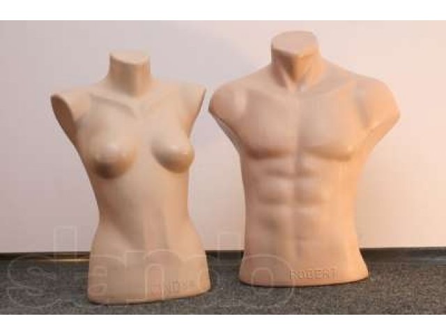 ТОРГОВО ВЫСТОВАЧНОЕ ОБОРУДОВАНИЕ в городе Казань, фото 1, Татарстан