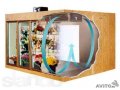 Все виды холодильных камер для цветов, новые и бу в городе Челябинск, фото 1, Челябинская область