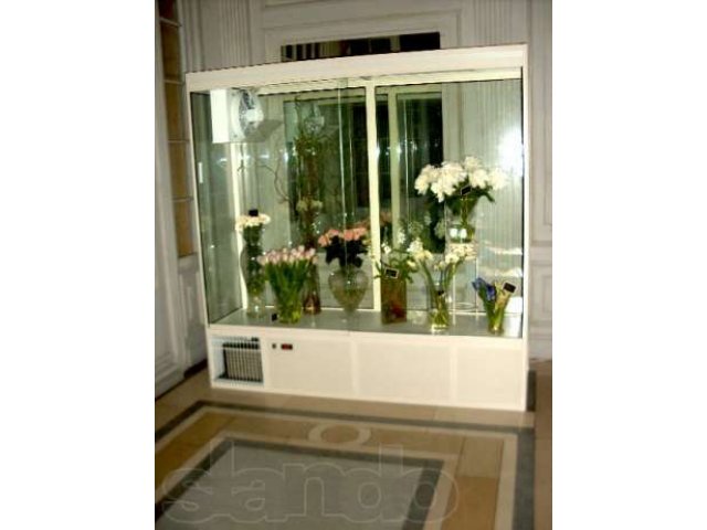 Цветочный шкаф, цветочное оборудование в городе Казань, фото 1, Холодильное оборудование
